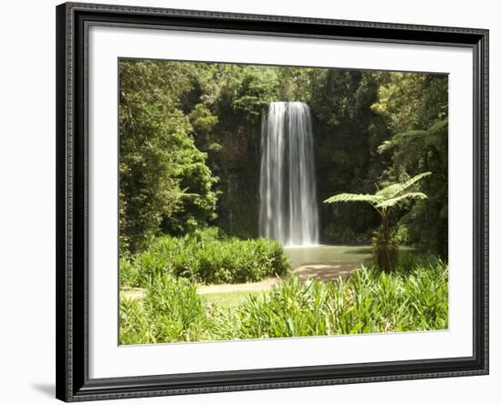 Millaa Millaa Falls, Atherton Tablelands, Queensland, Australia, Pacific-null-Framed Photographic Print