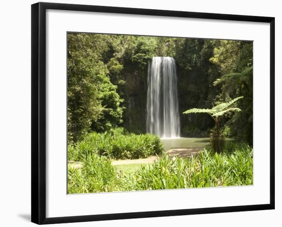 Millaa Millaa Falls, Atherton Tablelands, Queensland, Australia, Pacific-null-Framed Photographic Print