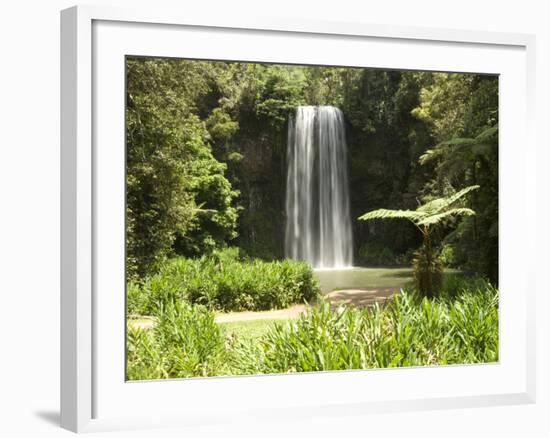 Millaa Millaa Falls, Atherton Tablelands, Queensland, Australia, Pacific-null-Framed Photographic Print