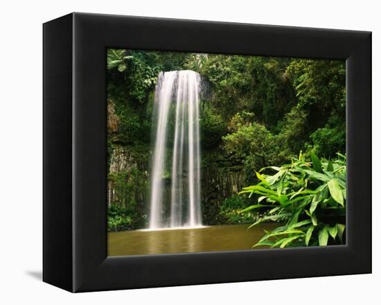 Millaa Millaa Falls-Dennis Degnan-Framed Premier Image Canvas