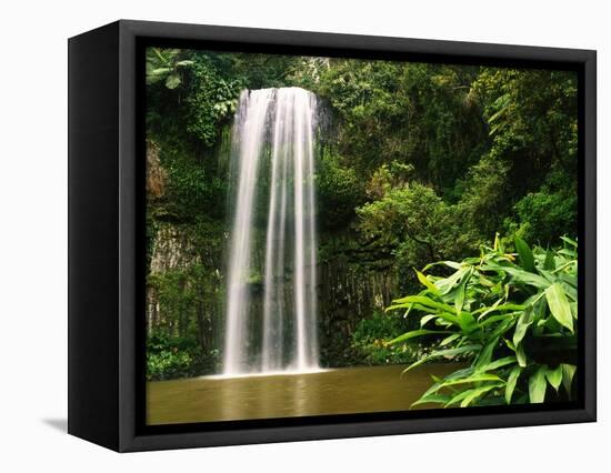 Millaa Millaa Falls-Dennis Degnan-Framed Premier Image Canvas