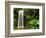 Millaa Millaa Falls-Dennis Degnan-Framed Photographic Print