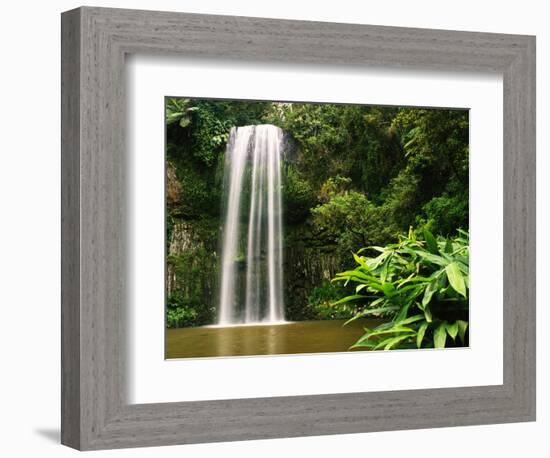 Millaa Millaa Falls-Dennis Degnan-Framed Photographic Print