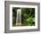 Millaa Millaa Falls-Dennis Degnan-Framed Photographic Print