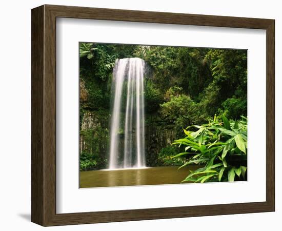 Millaa Millaa Falls-Dennis Degnan-Framed Photographic Print