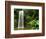 Millaa Millaa Falls-Dennis Degnan-Framed Photographic Print