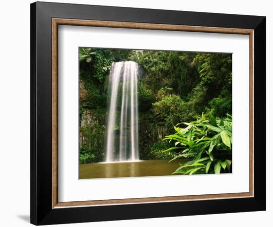 Millaa Millaa Falls-Dennis Degnan-Framed Photographic Print