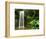 Millaa Millaa Falls-Dennis Degnan-Framed Photographic Print