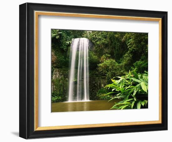 Millaa Millaa Falls-Dennis Degnan-Framed Photographic Print