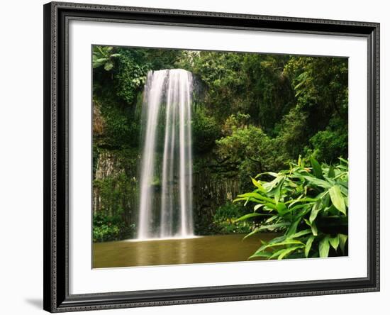 Millaa Millaa Falls-Dennis Degnan-Framed Photographic Print