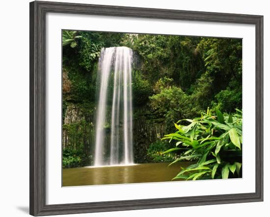 Millaa Millaa Falls-Dennis Degnan-Framed Photographic Print