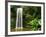 Millaa Millaa Falls-Dennis Degnan-Framed Photographic Print