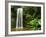 Millaa Millaa Falls-Dennis Degnan-Framed Photographic Print