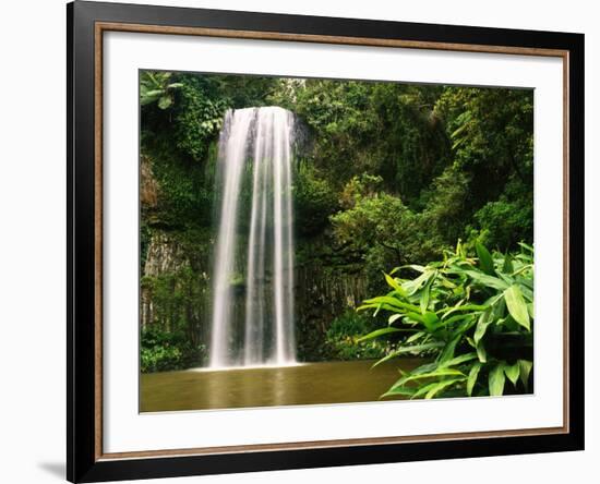 Millaa Millaa Falls-Dennis Degnan-Framed Photographic Print