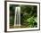 Millaa Millaa Falls-Dennis Degnan-Framed Photographic Print