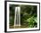 Millaa Millaa Falls-Dennis Degnan-Framed Photographic Print