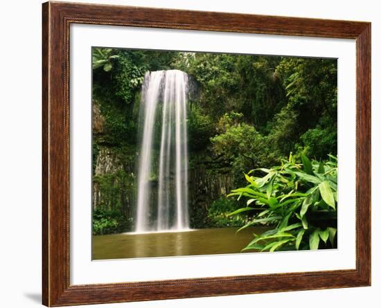 Millaa Millaa Falls-Dennis Degnan-Framed Photographic Print