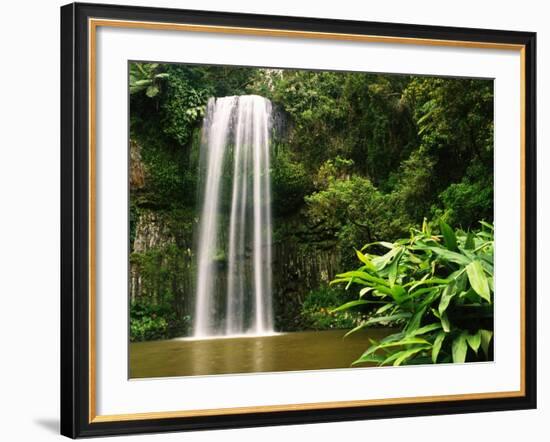 Millaa Millaa Falls-Dennis Degnan-Framed Photographic Print