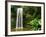 Millaa Millaa Falls-Dennis Degnan-Framed Photographic Print