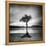 Millarrochy Tree-Nina Papiorek-Framed Premier Image Canvas