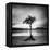 Millarrochy Tree-Nina Papiorek-Framed Premier Image Canvas