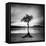 Millarrochy Tree-Nina Papiorek-Framed Premier Image Canvas