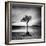 Millarrochy Tree-Nina Papiorek-Framed Photographic Print