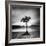 Millarrochy Tree-Nina Papiorek-Framed Photographic Print