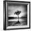 Millarrochy Tree-Nina Papiorek-Framed Photographic Print