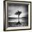 Millarrochy Tree-Nina Papiorek-Framed Photographic Print