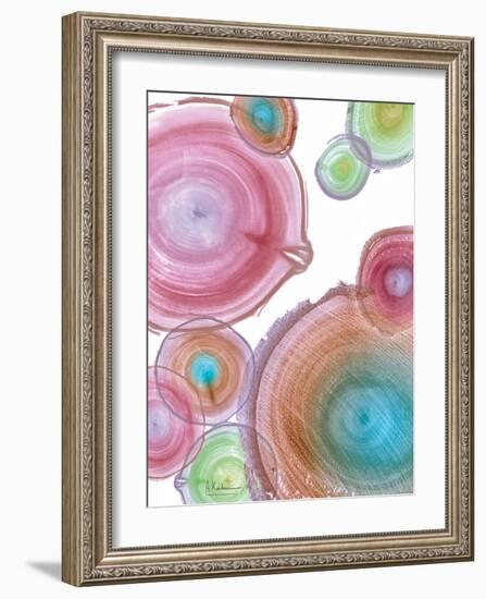 Millennial Tree Ring I-Albert Koetsier-Framed Art Print