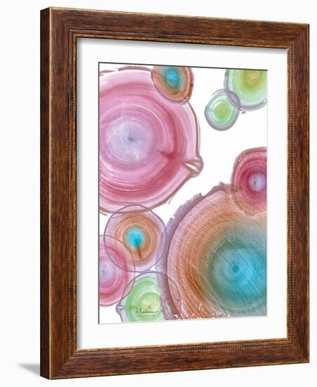 Millennial Tree Ring I-Albert Koetsier-Framed Art Print