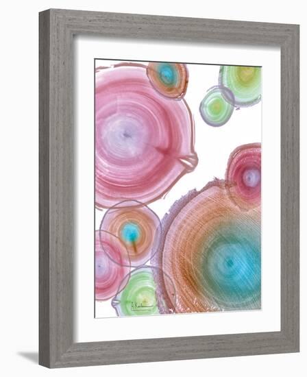 Millennial Tree Ring I-Albert Koetsier-Framed Art Print