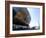 Millennium Centre, Cardiff Bay, Cardiff, Wales, United Kingdom, Europe-Ethel Davies-Framed Photographic Print