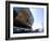 Millennium Centre, Cardiff Bay, Cardiff, Wales, United Kingdom, Europe-Ethel Davies-Framed Photographic Print