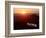 Millennium Overview-Reed Saxon-Framed Photographic Print