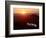 Millennium Overview-Reed Saxon-Framed Photographic Print