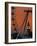 Millennium Wheel and Big Ben, London, England-Doug Pearson-Framed Photographic Print