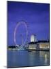 Millennium Wheel, London, England-Rex Butcher-Mounted Photographic Print