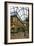 Miller Arcade, Preston, Lancashire-Peter Thompson-Framed Photographic Print