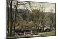 Photographic Print