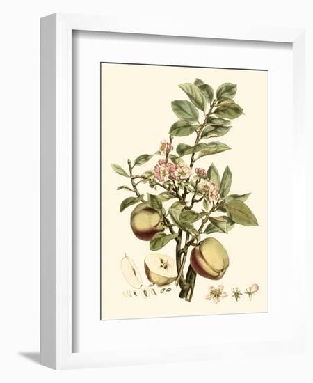 Miller's Bounty II-John Miller-Framed Art Print