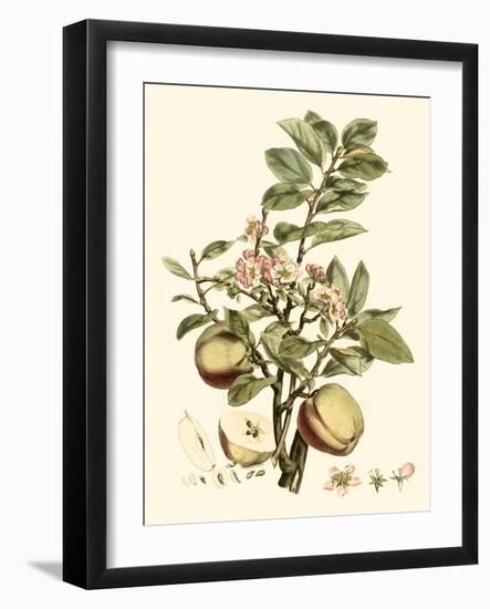 Miller's Bounty II-John Miller-Framed Art Print