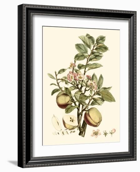 Miller's Bounty II-John Miller-Framed Art Print