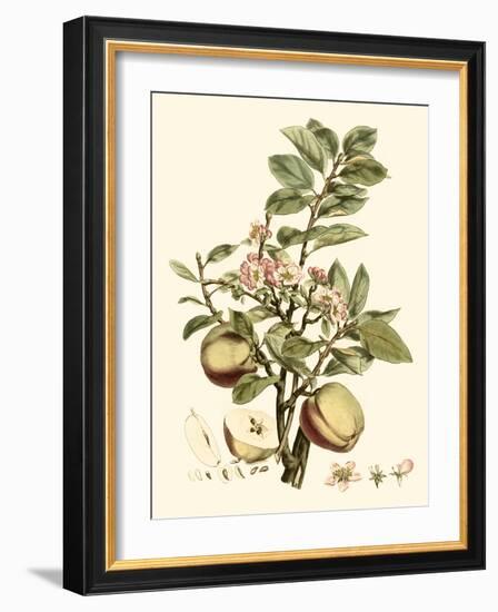 Miller's Bounty II-John Miller-Framed Art Print