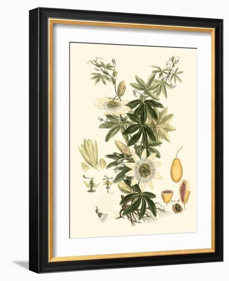 Miller's Bounty IV-John Miller-Framed Art Print