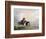 Miller: Shoshone Woman-Alfred Jacob Miller-Framed Giclee Print