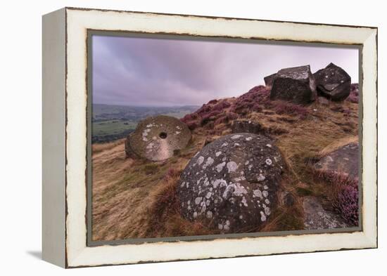 Millstone Amongst Heather and Lichen Covered Boulders at Dawn-Eleanor Scriven-Framed Premier Image Canvas