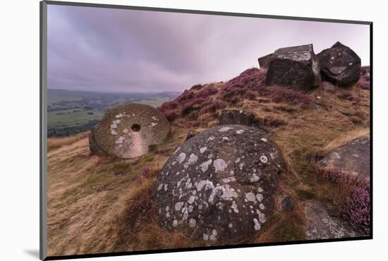 Millstone Amongst Heather and Lichen Covered Boulders at Dawn-Eleanor Scriven-Mounted Photographic Print