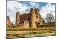 Photographic Print
